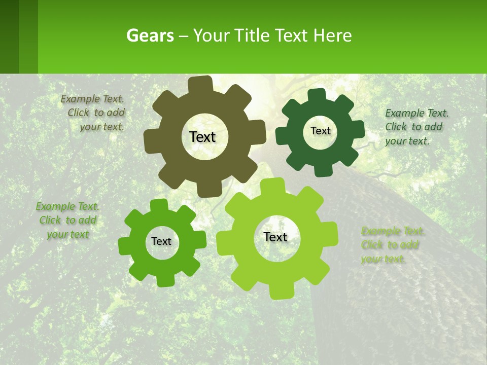 A Tree With The Sun Shining Through It PowerPoint Template