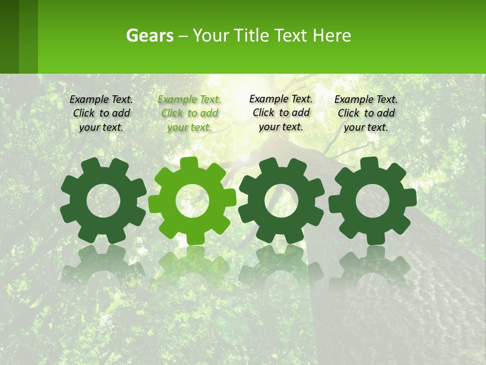 A Tree With The Sun Shining Through It PowerPoint Template