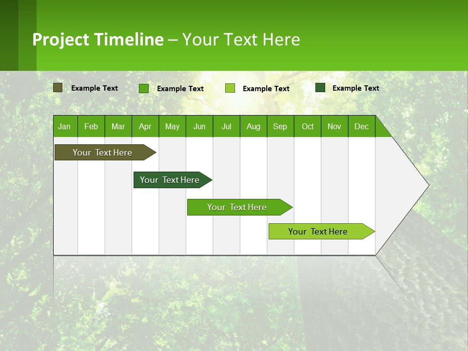 A Tree With The Sun Shining Through It PowerPoint Template