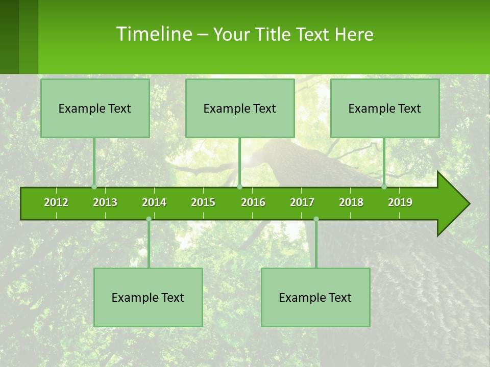 A Tree With The Sun Shining Through It PowerPoint Template