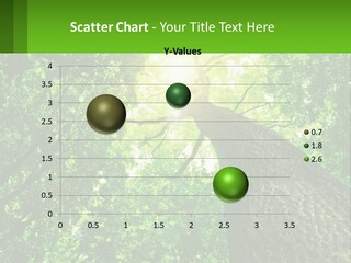 A Tree With The Sun Shining Through It PowerPoint Template