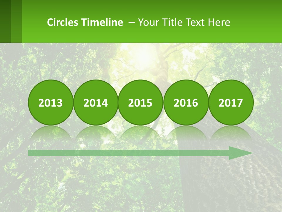 A Tree With The Sun Shining Through It PowerPoint Template