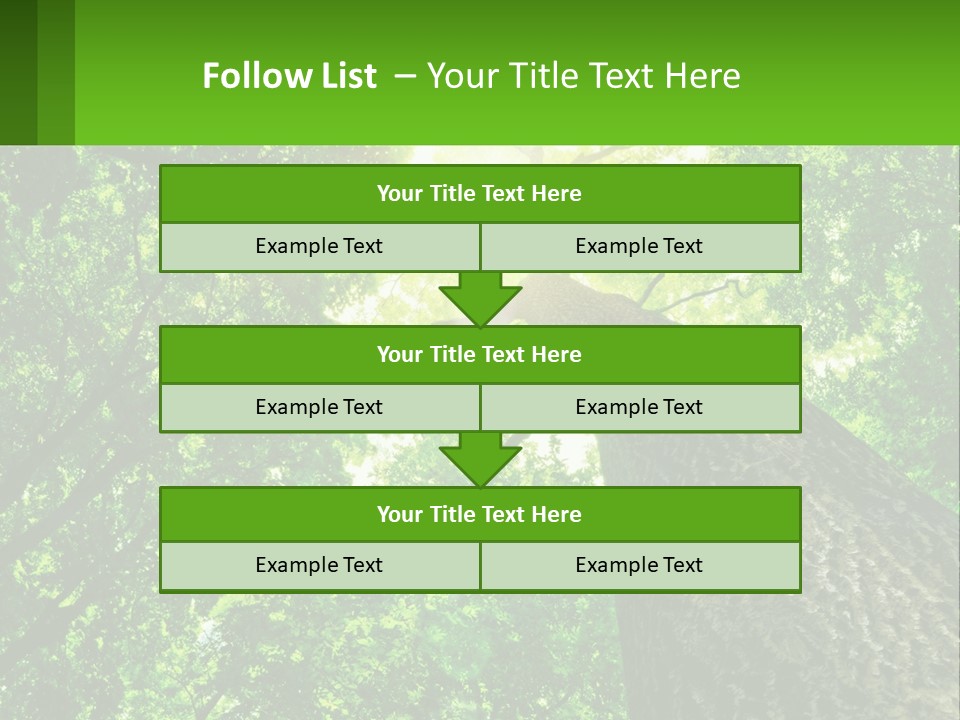 A Tree With The Sun Shining Through It PowerPoint Template