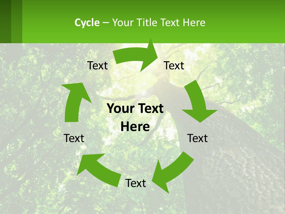 A Tree With The Sun Shining Through It PowerPoint Template