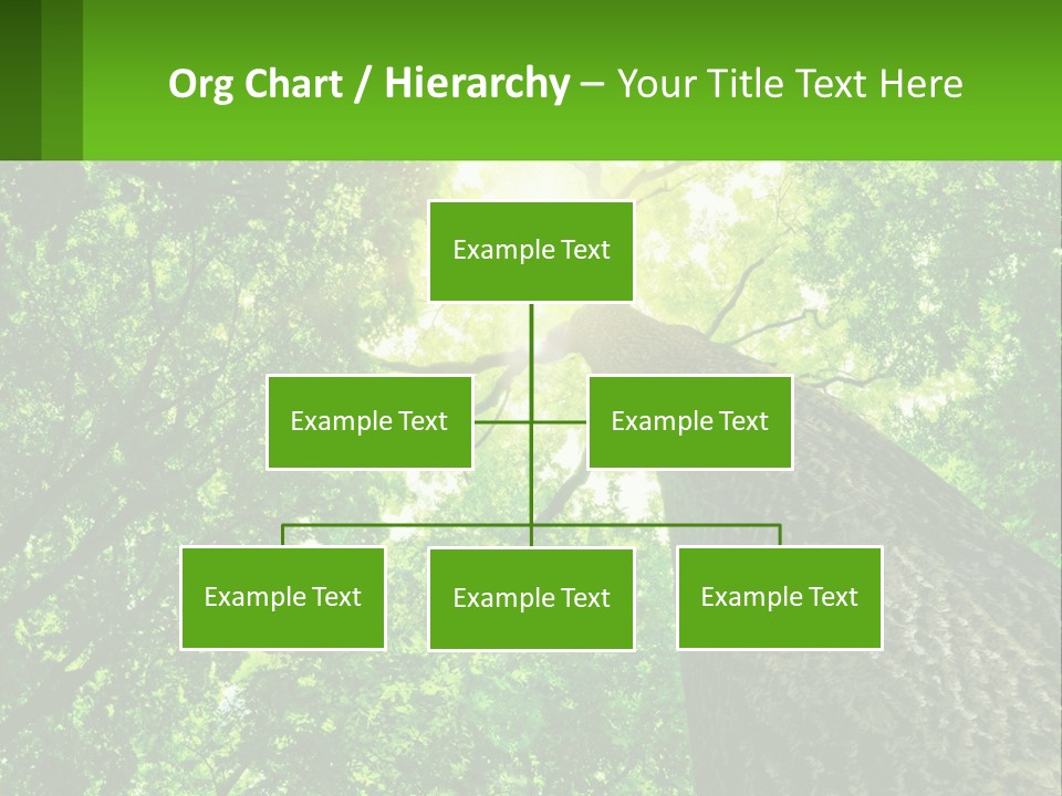 A Tree With The Sun Shining Through It PowerPoint Template