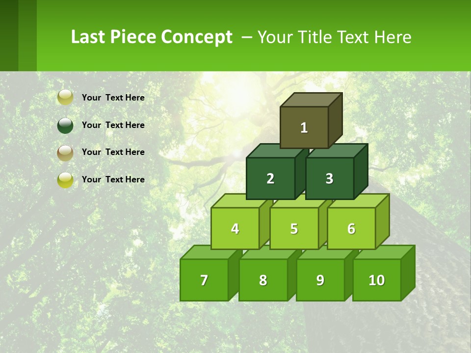 A Tree With The Sun Shining Through It PowerPoint Template