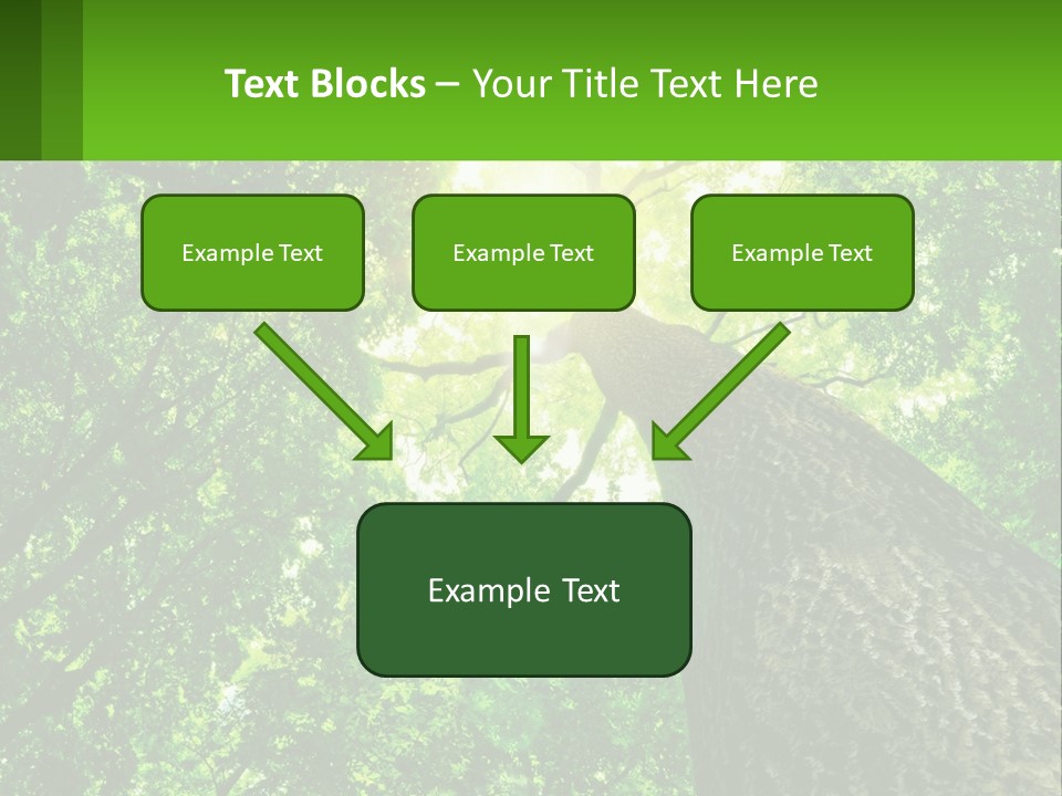 A Tree With The Sun Shining Through It PowerPoint Template