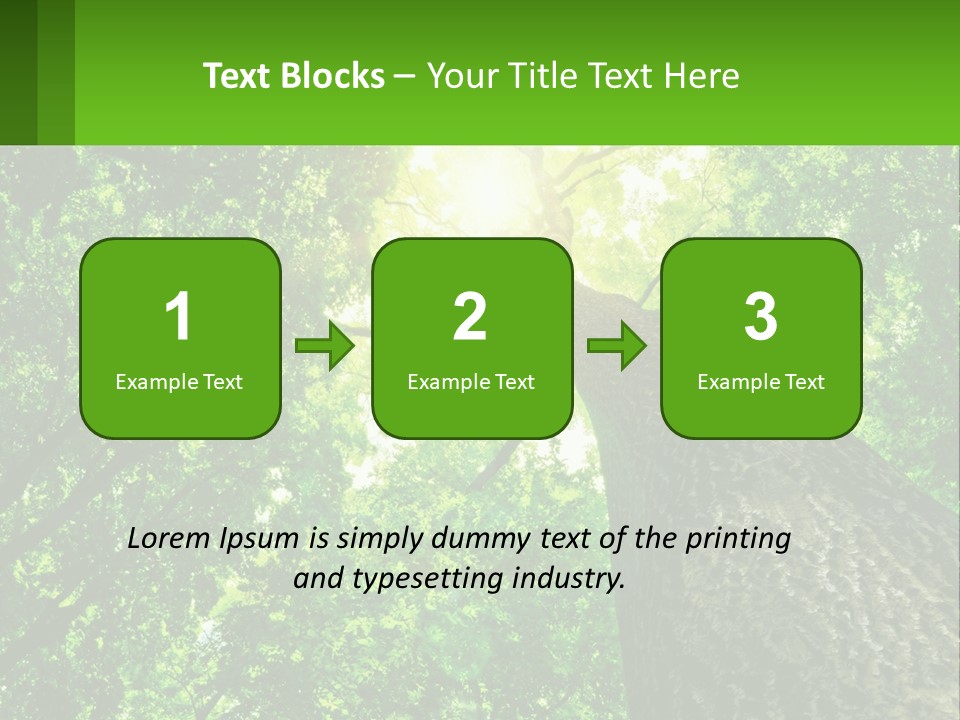 A Tree With The Sun Shining Through It PowerPoint Template