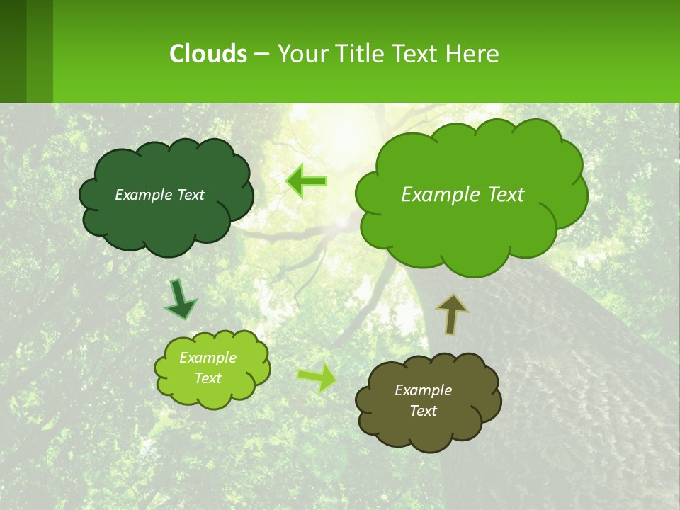 A Tree With The Sun Shining Through It PowerPoint Template