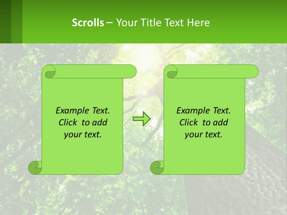 A Tree With The Sun Shining Through It PowerPoint Template