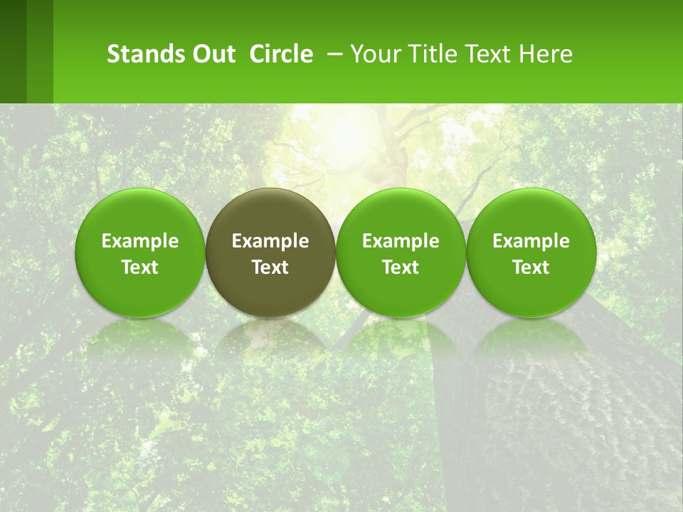 A Tree With The Sun Shining Through It PowerPoint Template