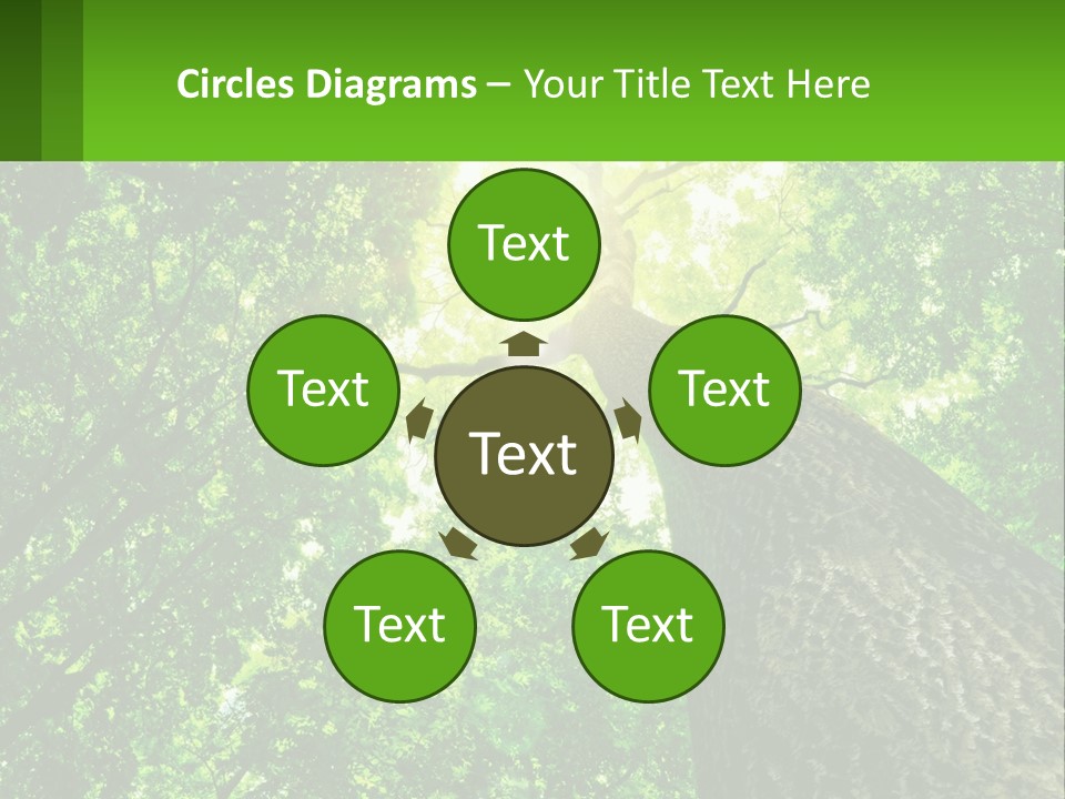 A Tree With The Sun Shining Through It PowerPoint Template