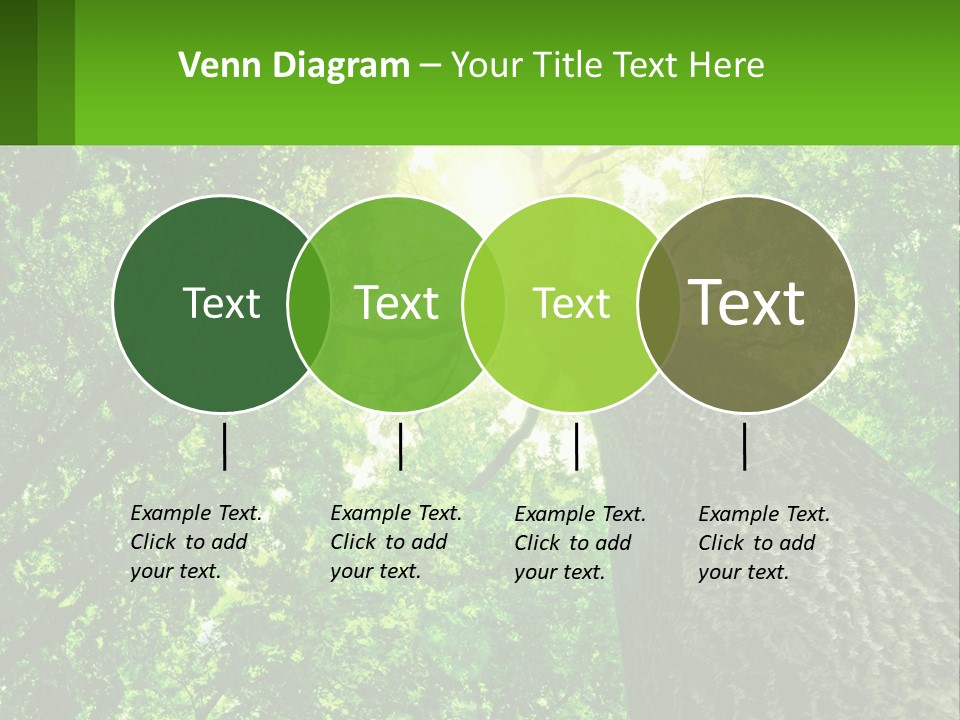 A Tree With The Sun Shining Through It PowerPoint Template