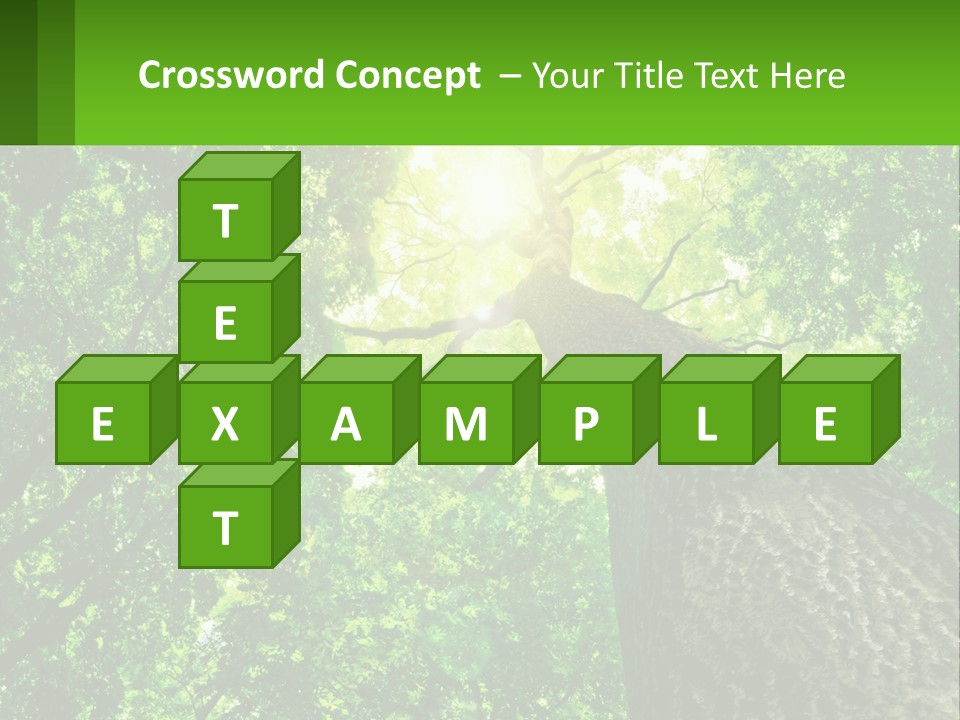 A Tree With The Sun Shining Through It PowerPoint Template