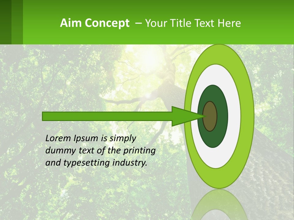 A Tree With The Sun Shining Through It PowerPoint Template