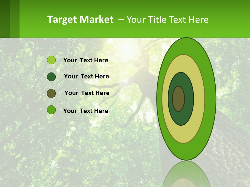 A Tree With The Sun Shining Through It PowerPoint Template