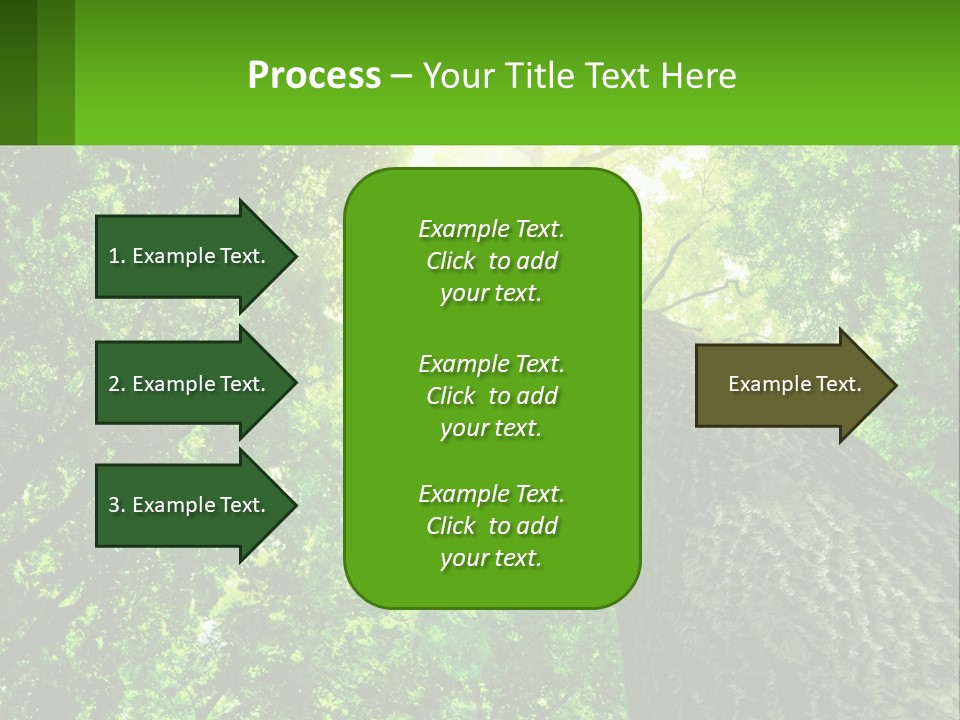 A Tree With The Sun Shining Through It PowerPoint Template