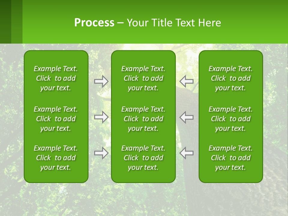 A Tree With The Sun Shining Through It PowerPoint Template