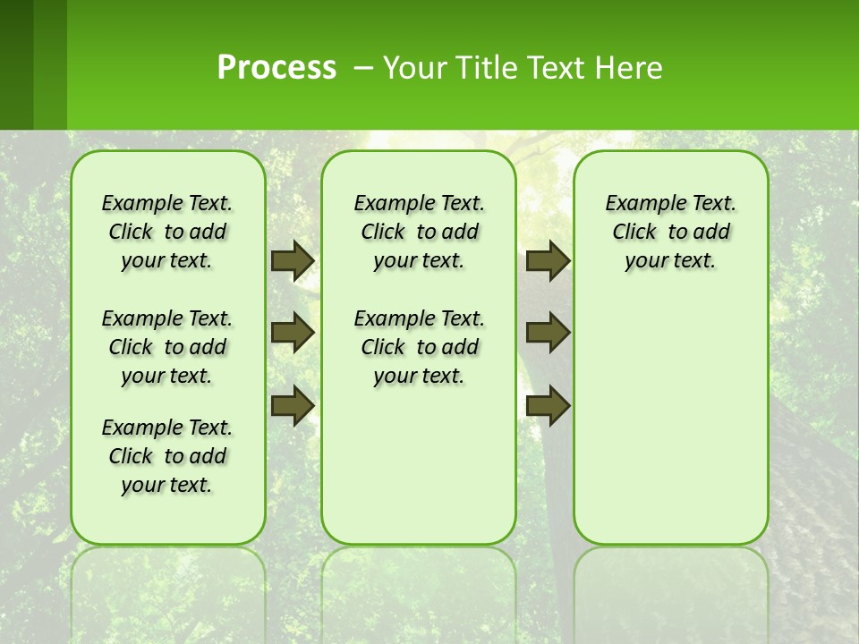 A Tree With The Sun Shining Through It PowerPoint Template