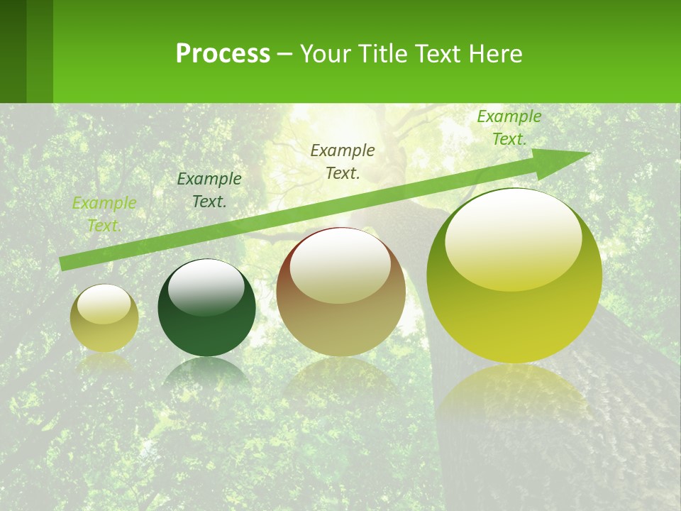 A Tree With The Sun Shining Through It PowerPoint Template