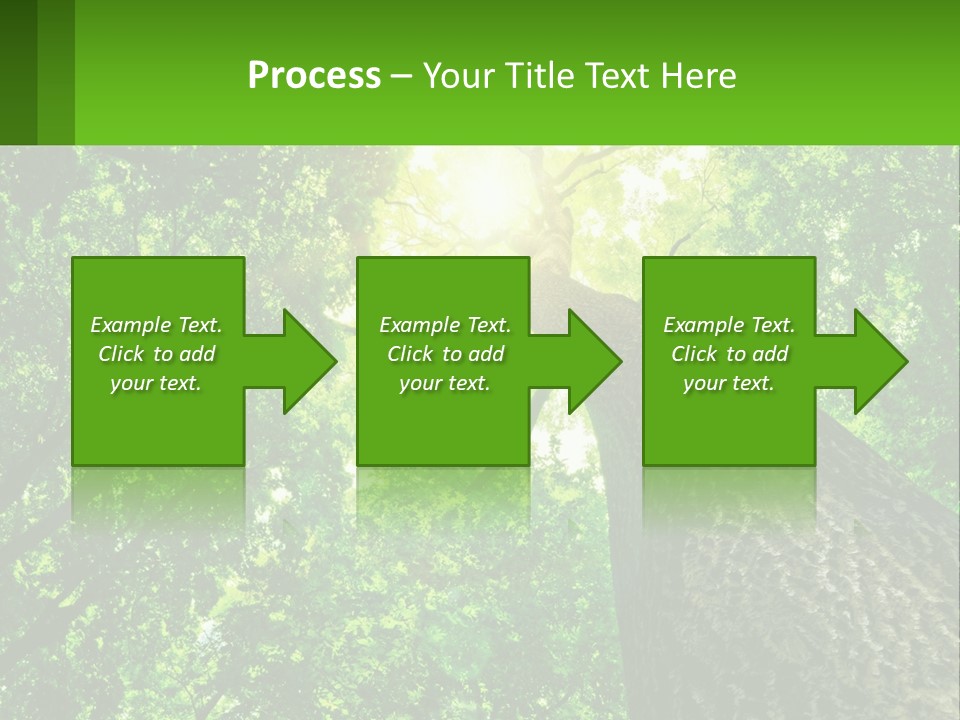 A Tree With The Sun Shining Through It PowerPoint Template