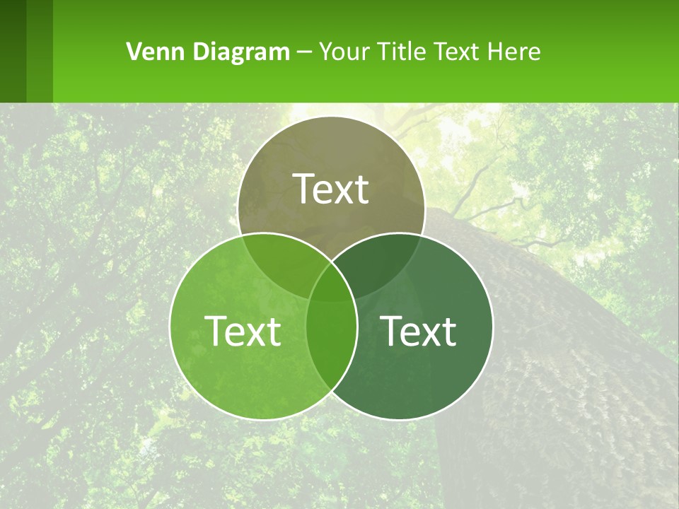 A Tree With The Sun Shining Through It PowerPoint Template