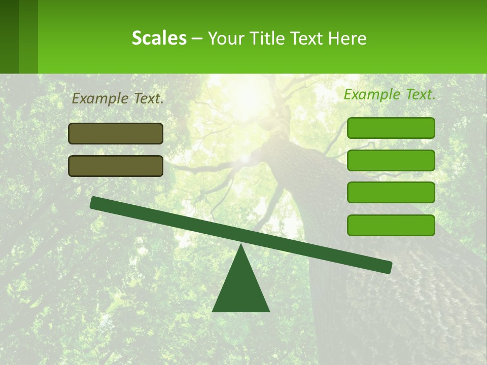 A Tree With The Sun Shining Through It PowerPoint Template