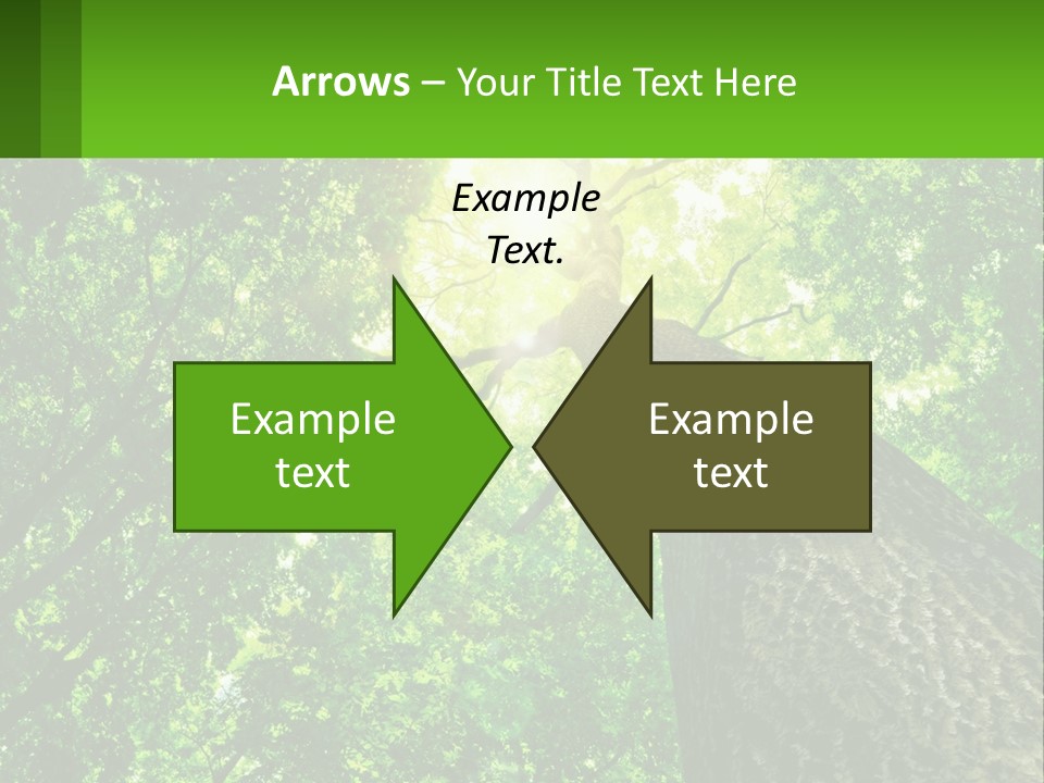 A Tree With The Sun Shining Through It PowerPoint Template