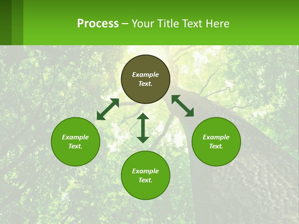 A Tree With The Sun Shining Through It PowerPoint Template