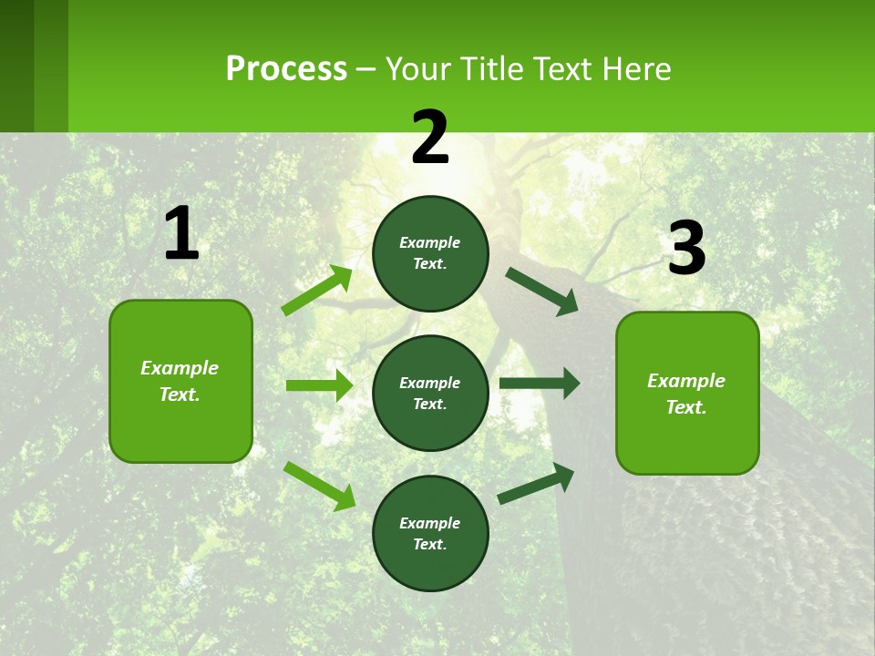 A Tree With The Sun Shining Through It PowerPoint Template