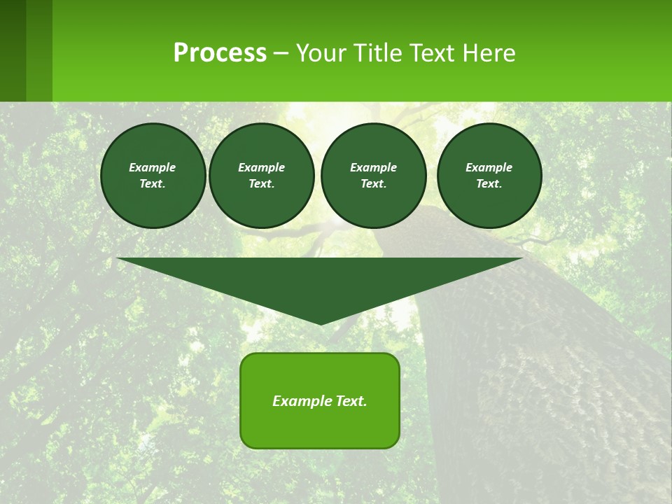 A Tree With The Sun Shining Through It PowerPoint Template