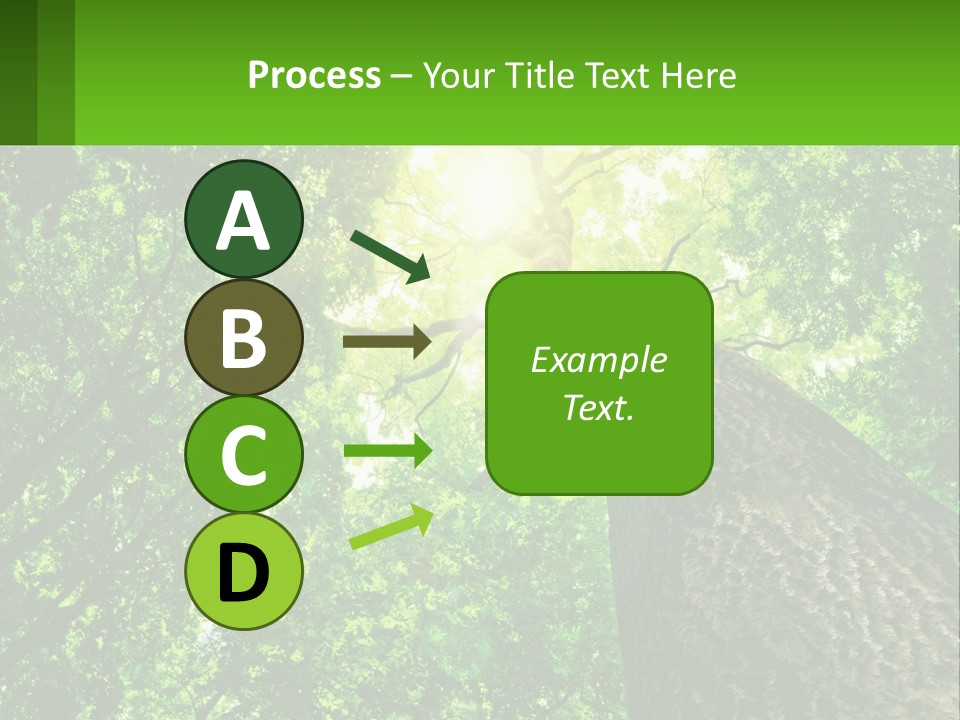A Tree With The Sun Shining Through It PowerPoint Template