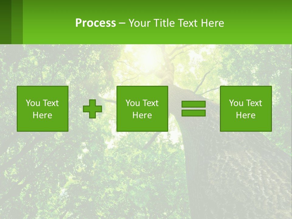 A Tree With The Sun Shining Through It PowerPoint Template