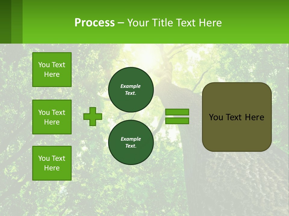 A Tree With The Sun Shining Through It PowerPoint Template