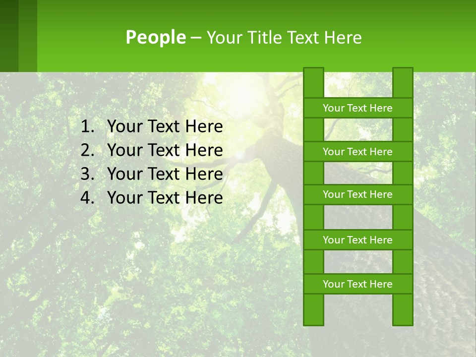 A Tree With The Sun Shining Through It PowerPoint Template