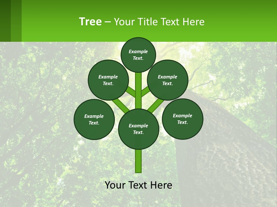 A Tree With The Sun Shining Through It PowerPoint Template