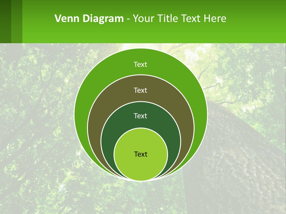 A Tree With The Sun Shining Through It PowerPoint Template