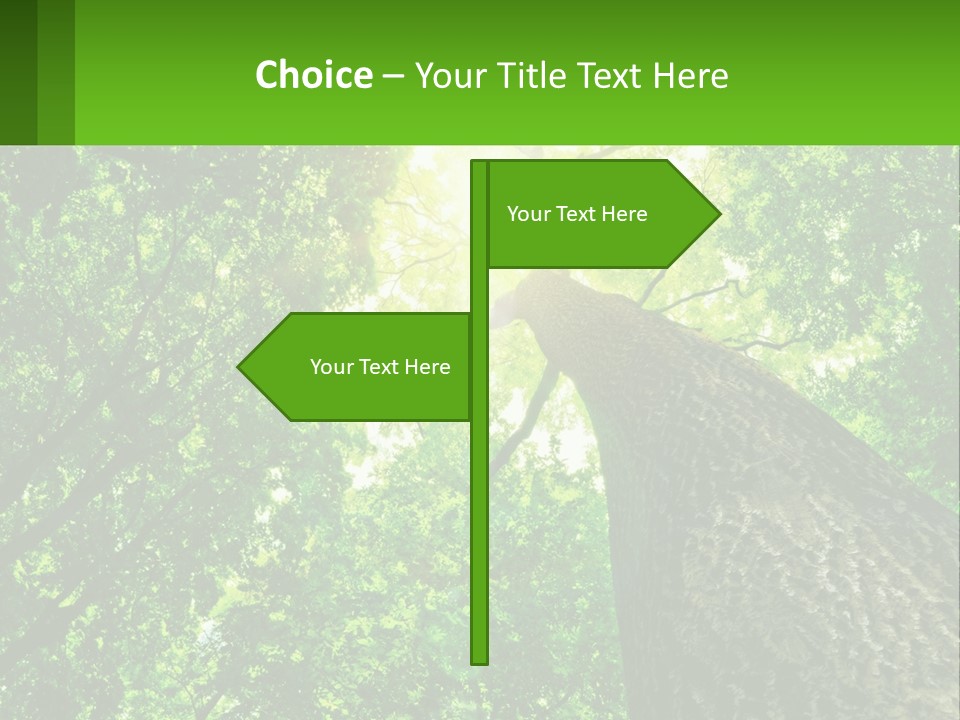 A Tree With The Sun Shining Through It PowerPoint Template