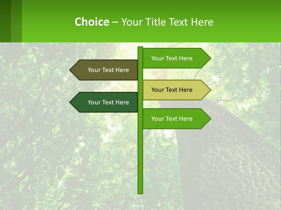 A Tree With The Sun Shining Through It PowerPoint Template