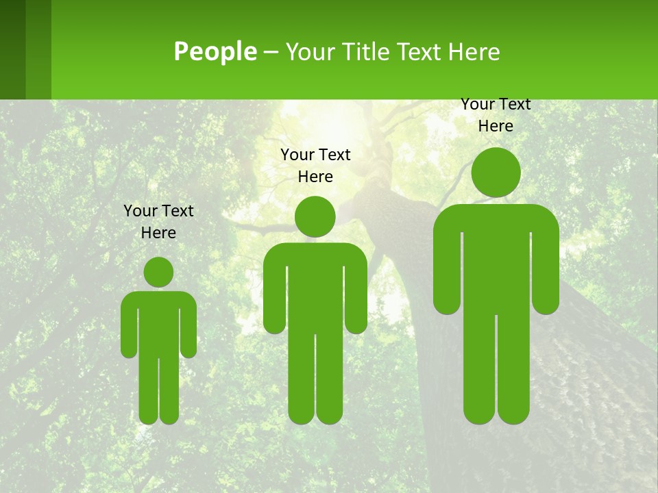 A Tree With The Sun Shining Through It PowerPoint Template