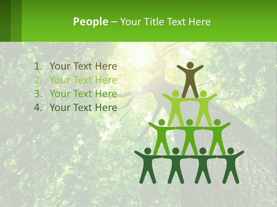 A Tree With The Sun Shining Through It PowerPoint Template