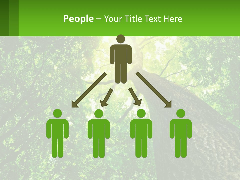 A Tree With The Sun Shining Through It PowerPoint Template