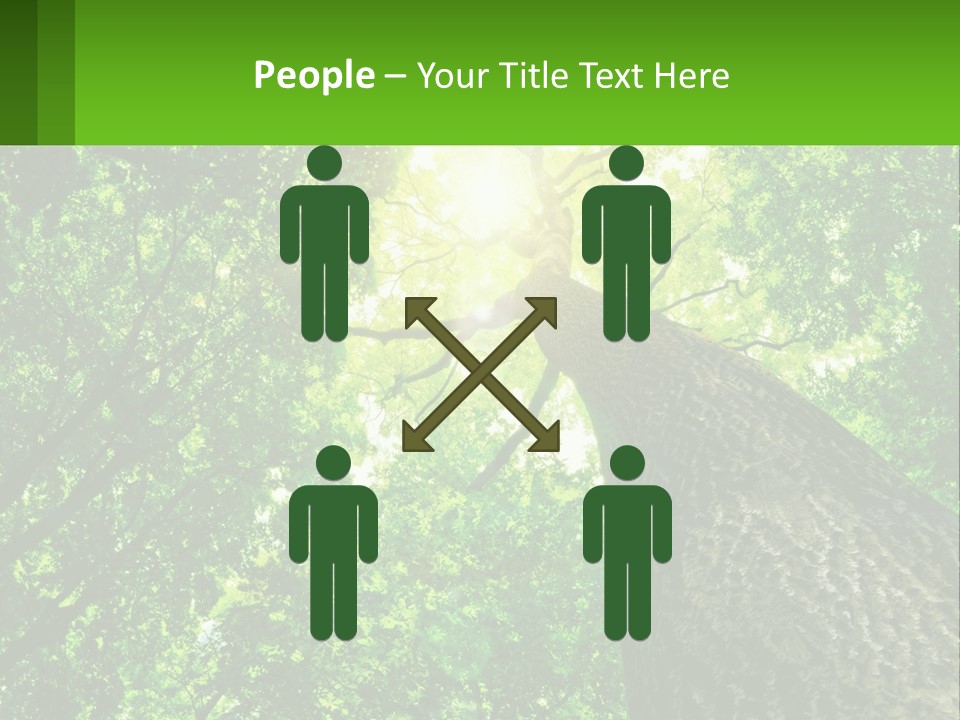 A Tree With The Sun Shining Through It PowerPoint Template