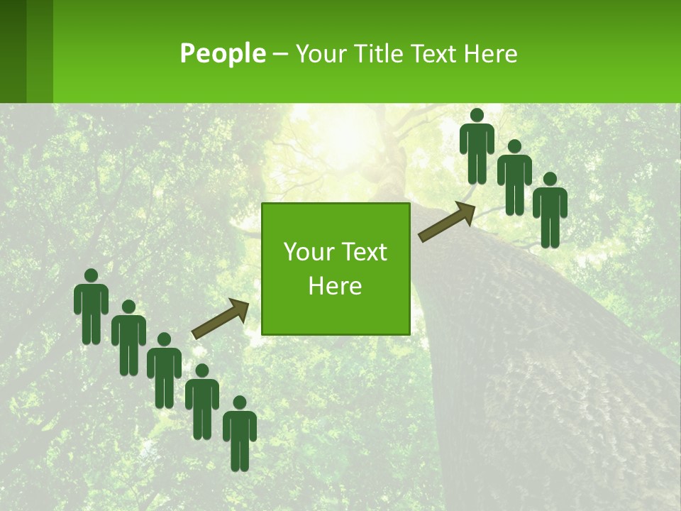 A Tree With The Sun Shining Through It PowerPoint Template