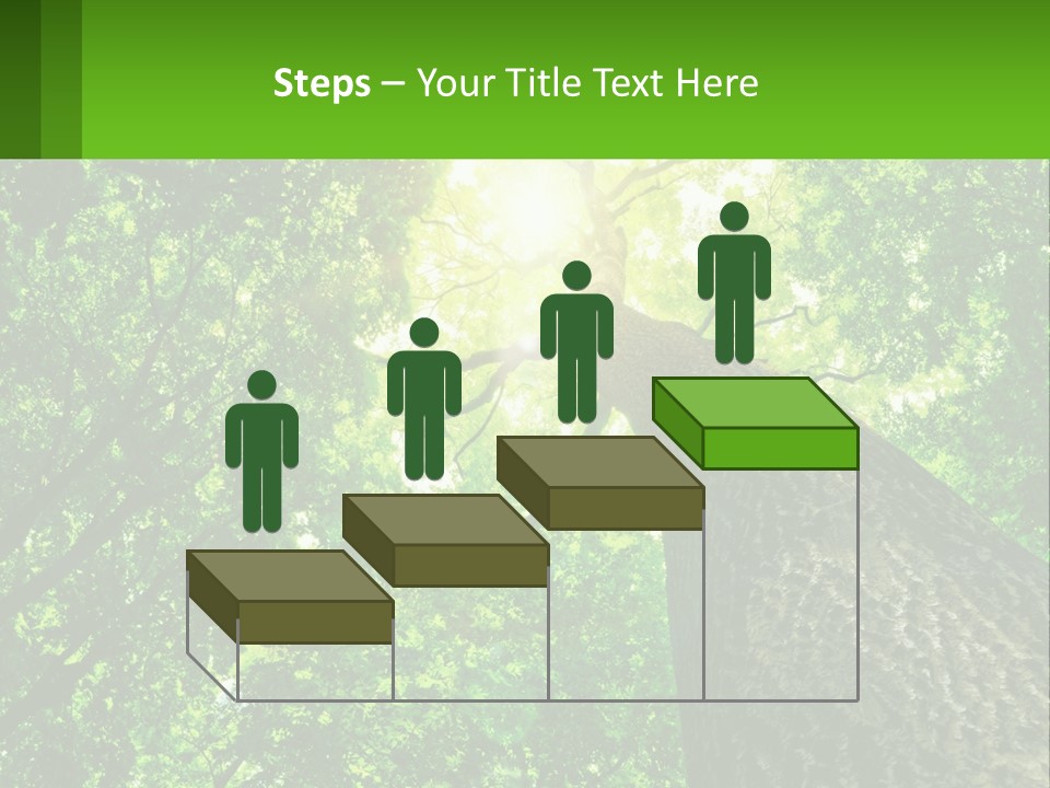 A Tree With The Sun Shining Through It PowerPoint Template