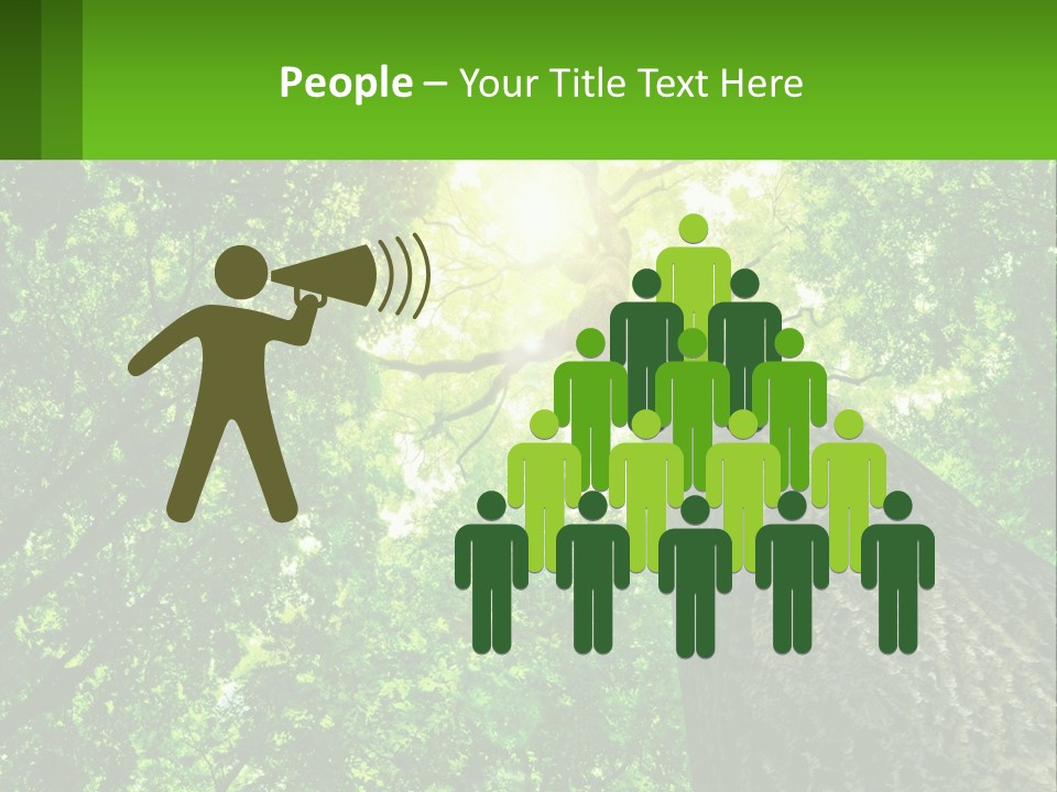 A Tree With The Sun Shining Through It PowerPoint Template