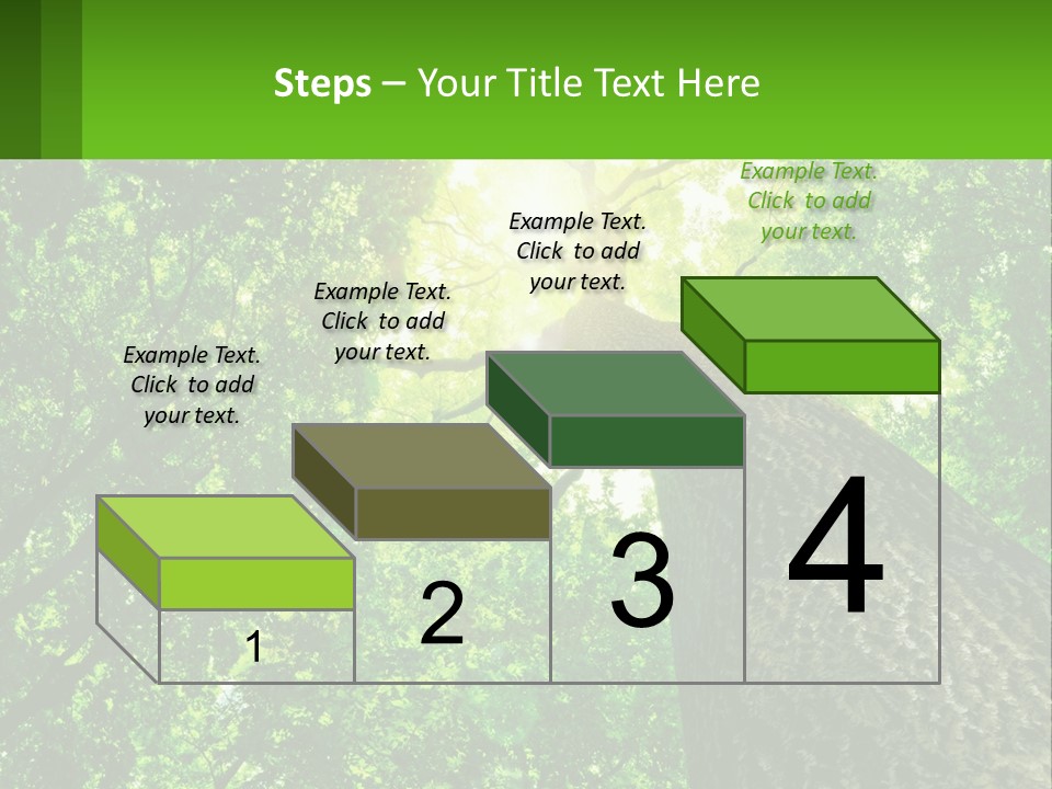 A Tree With The Sun Shining Through It PowerPoint Template