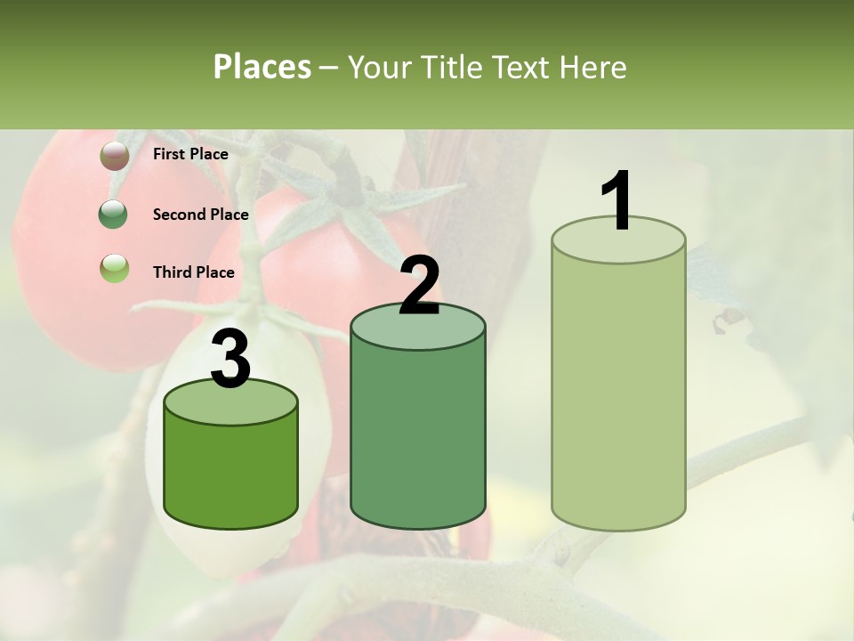 A Group Of Tomatoes Growing On A Tree PowerPoint Template