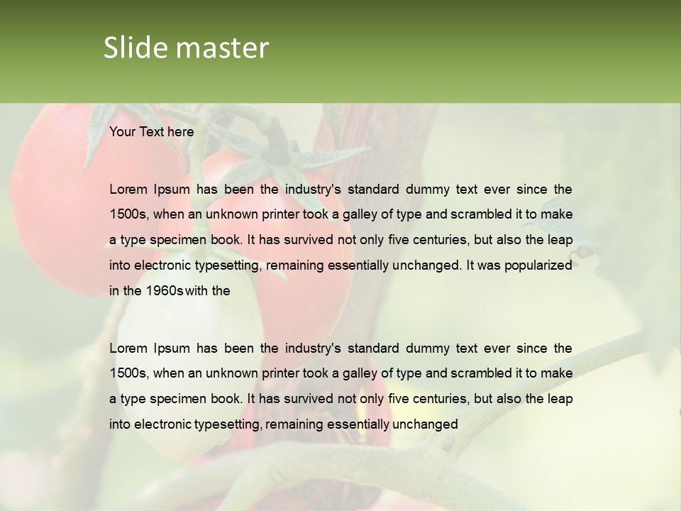 A Group Of Tomatoes Growing On A Tree PowerPoint Template