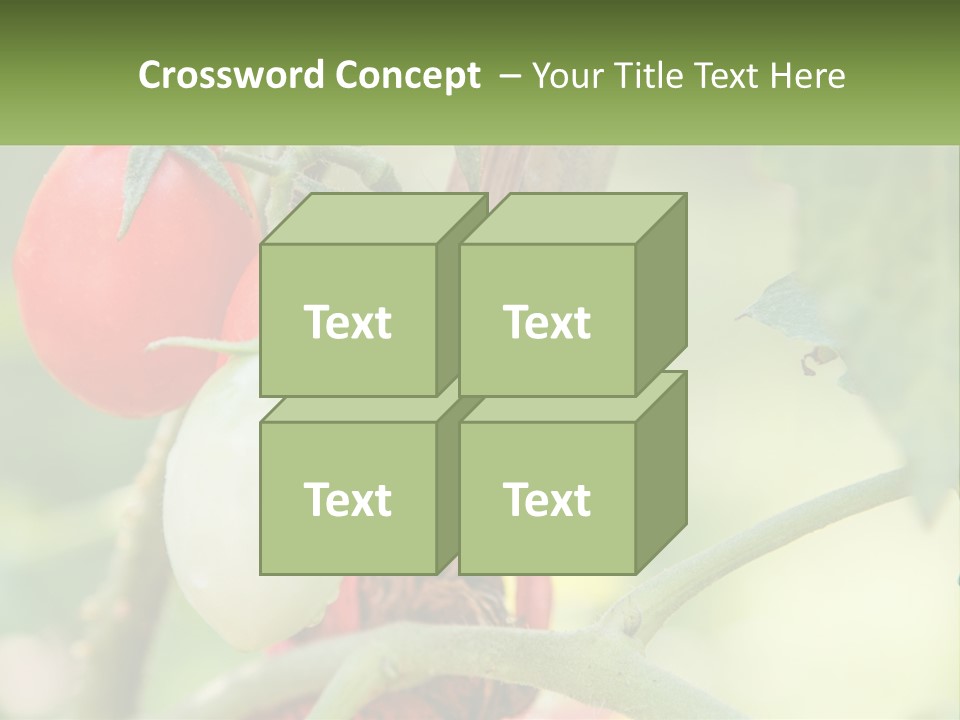 A Group Of Tomatoes Growing On A Tree PowerPoint Template